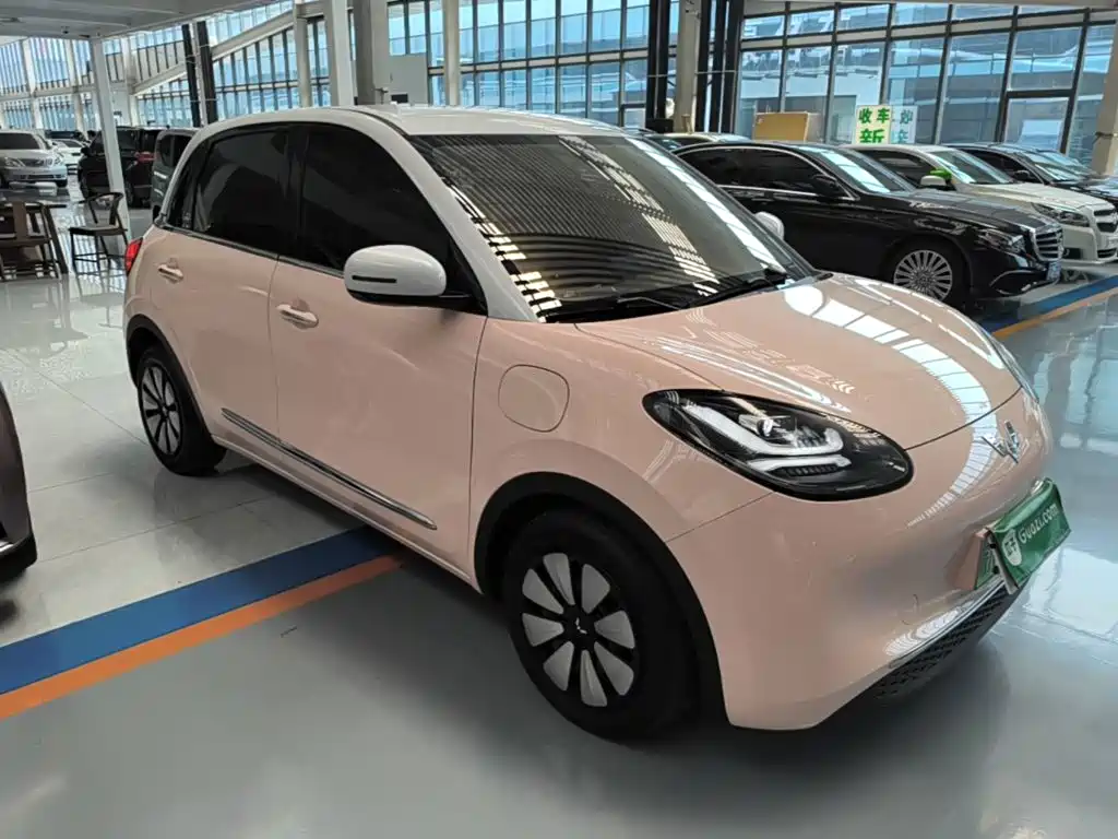 Wuling Binguo 2023 410km Premium