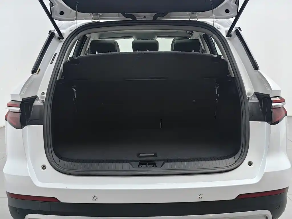 BYD Pro — миниатюра 16
