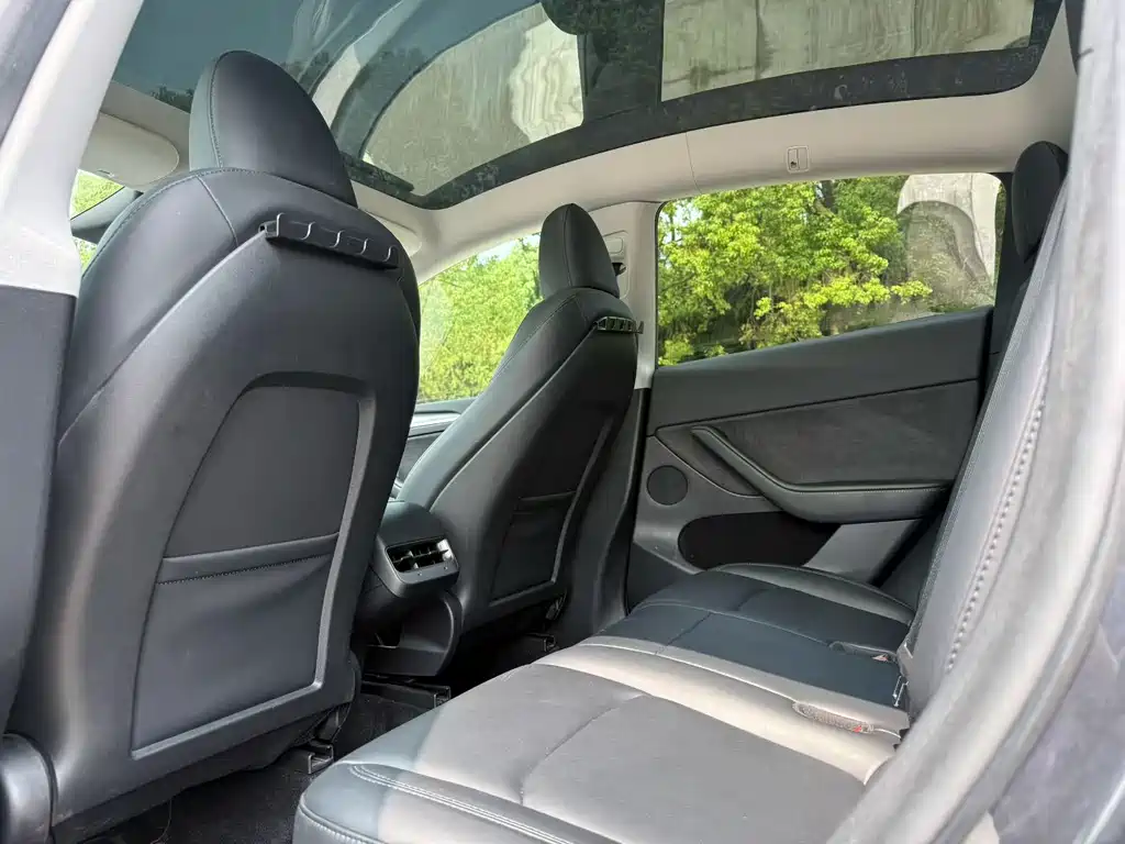 Tesla Model Y — миниатюра 6