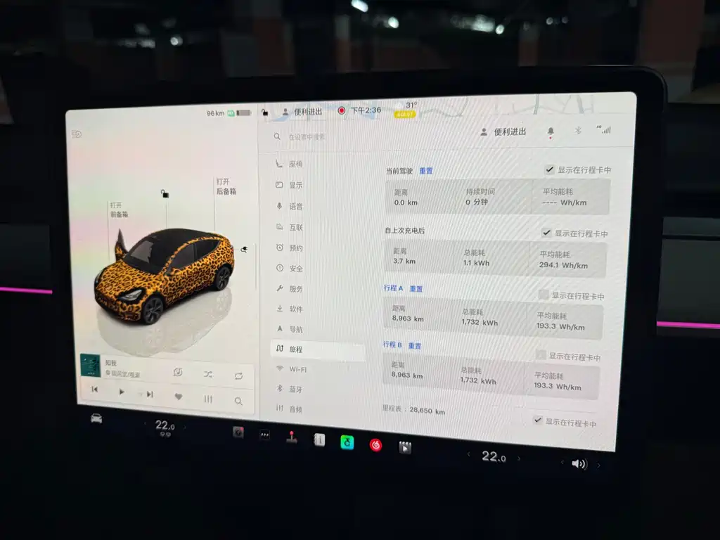 Tesla Model Y — миниатюра 18