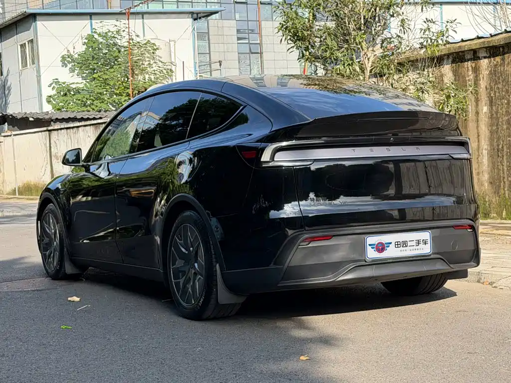 Tesla Model Y — миниатюра 4