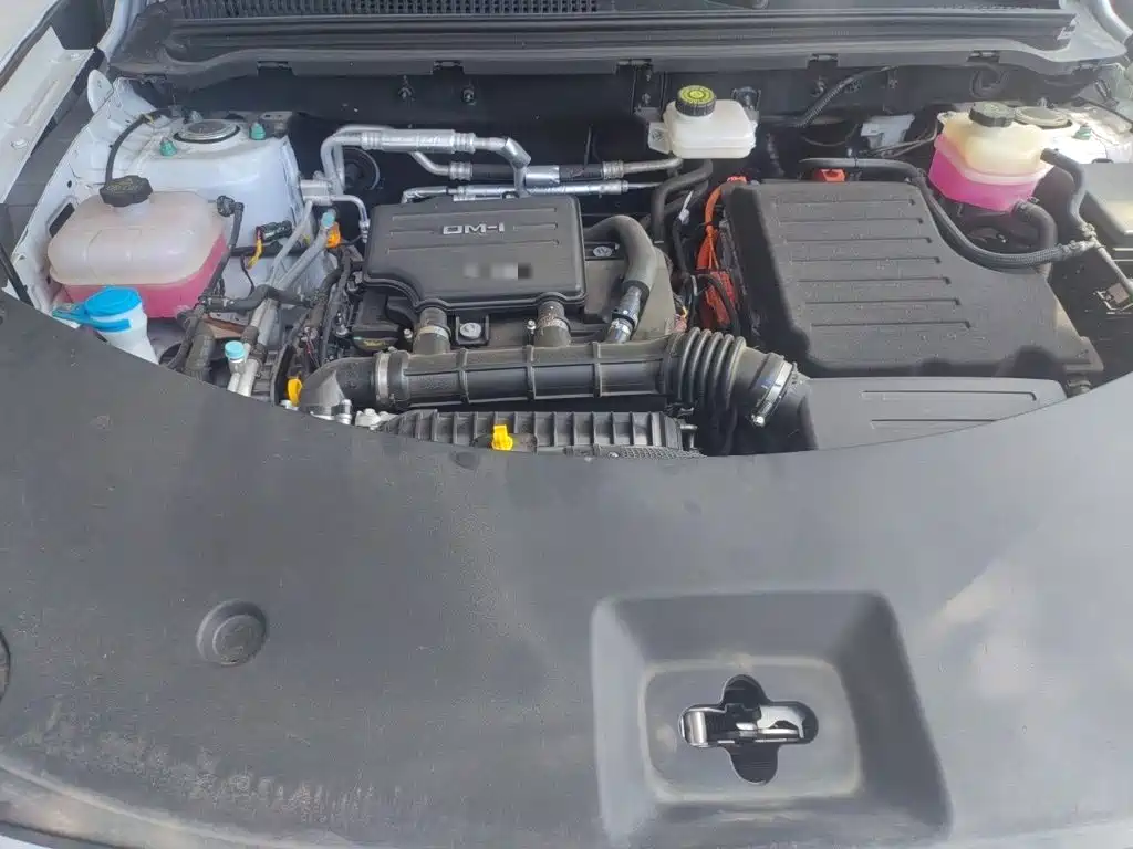 BYD Pro New Energy — миниатюра 16