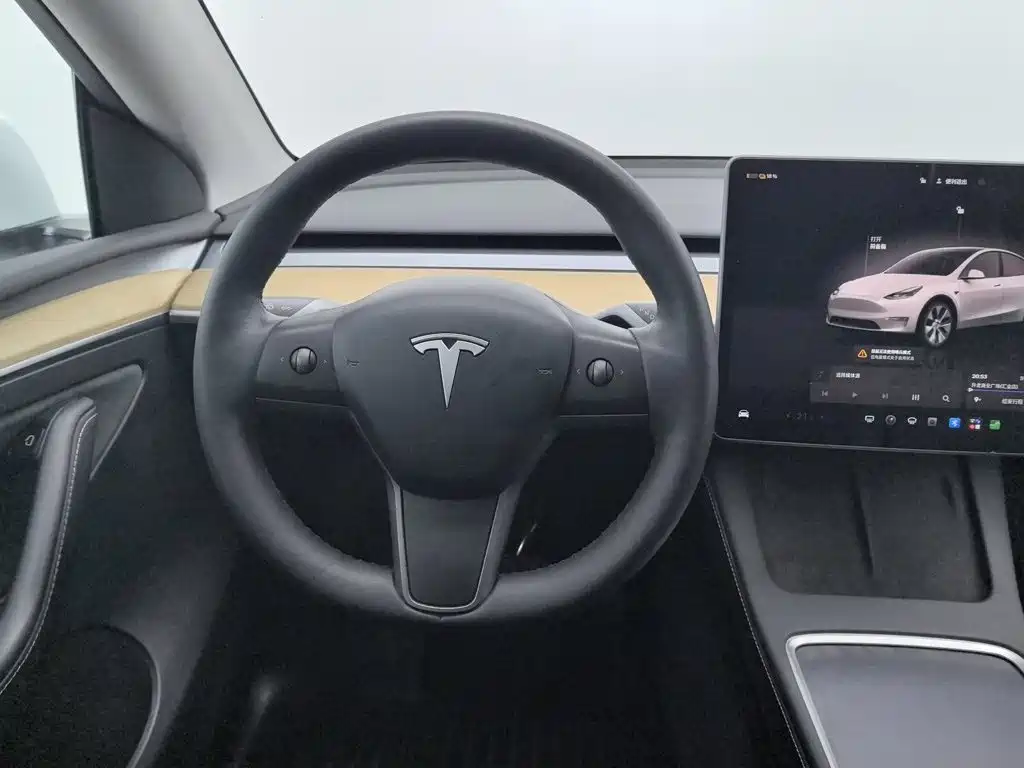 Tesla Model Y — миниатюра 11