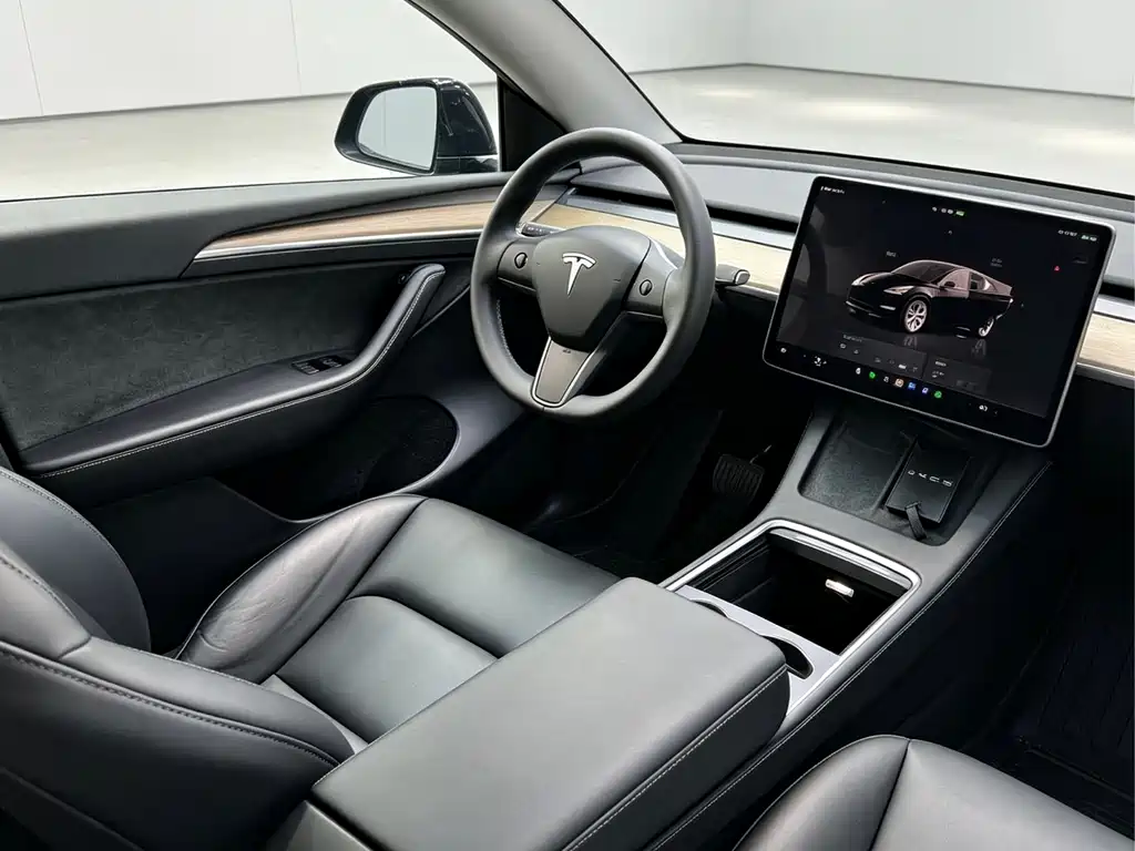 Tesla Model Y — миниатюра 15