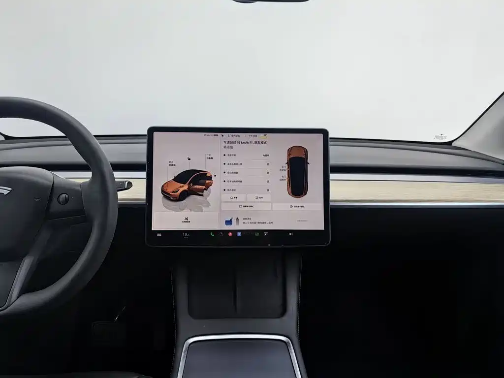 Tesla Model Y — миниатюра 12