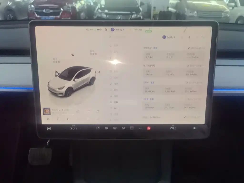 Tesla Model Y — миниатюра 13
