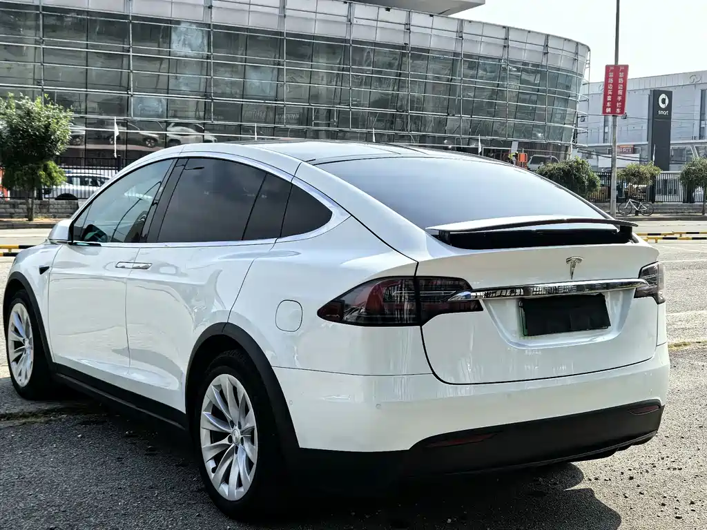 Tesla Model X — миниатюра 10