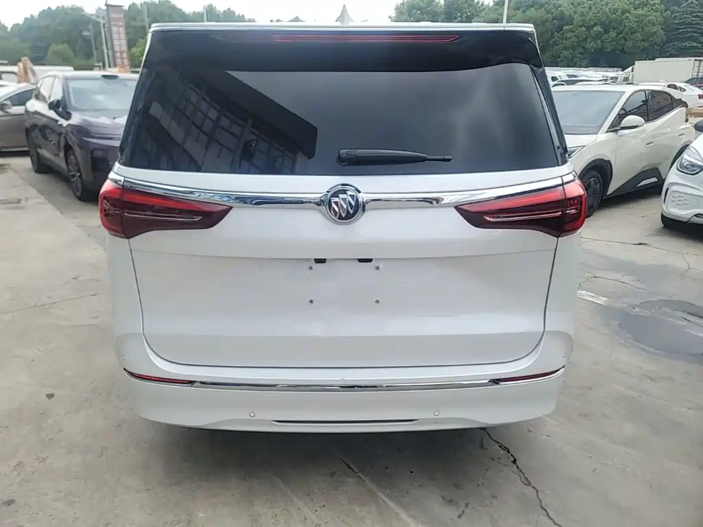 Buick GL8 — миниатюра 6