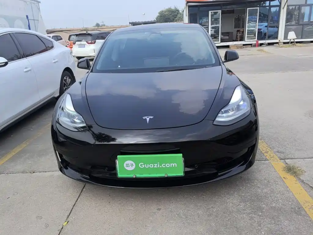Tesla Model 3 — миниатюра 3