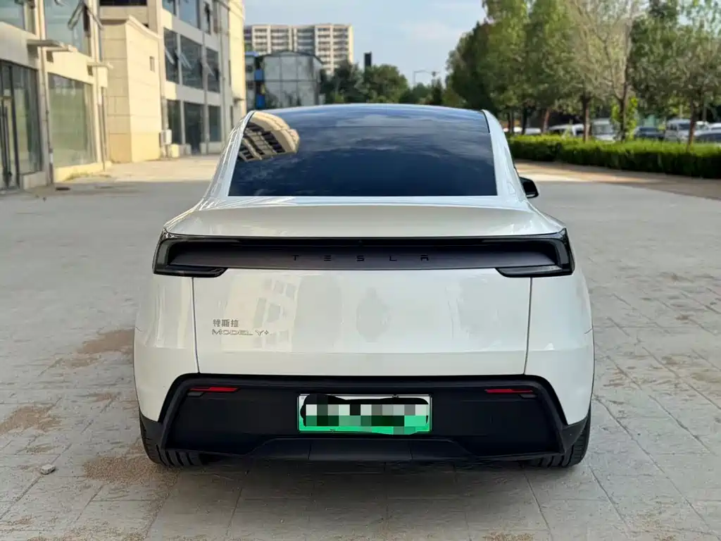 Tesla Model Y — миниатюра 12