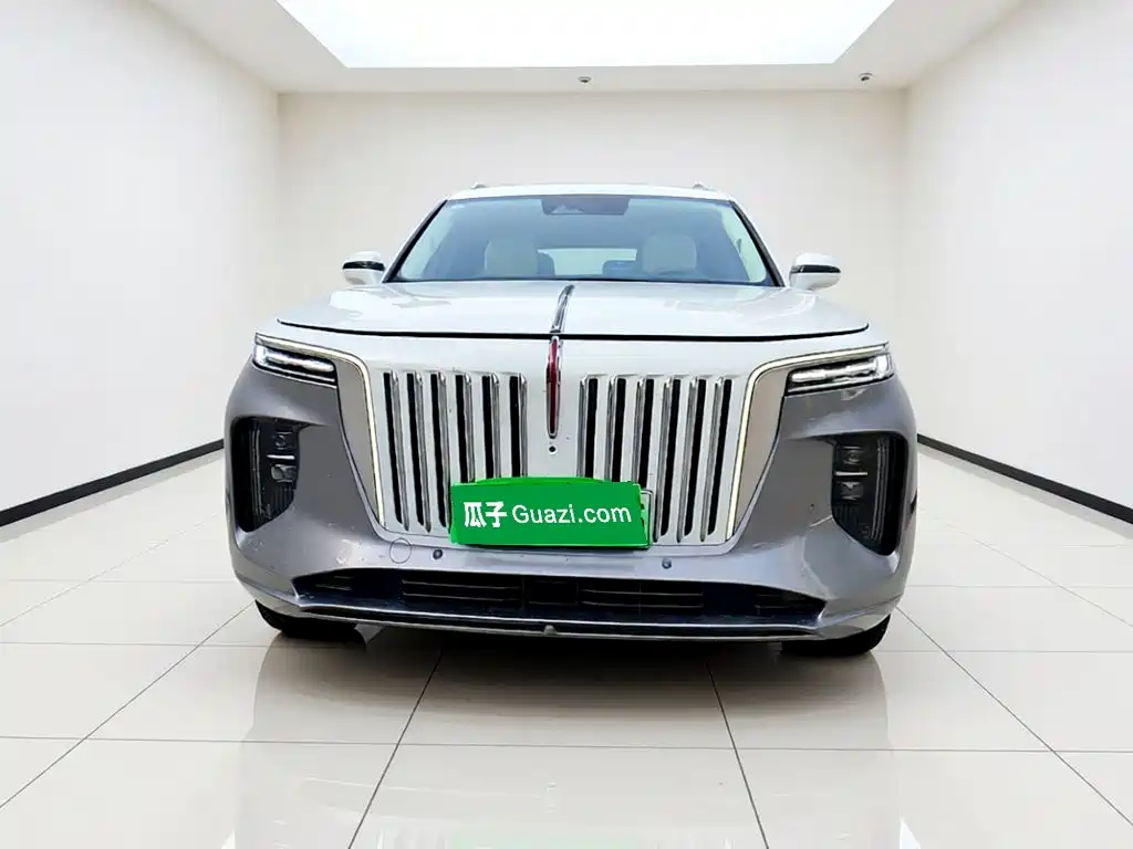 Hongqi Hongqi E-HS9 — миниатюра 2