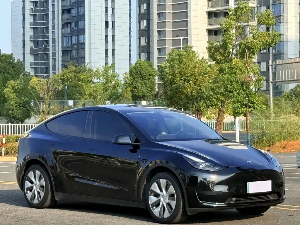 Tesla Model Y — миниатюра 3