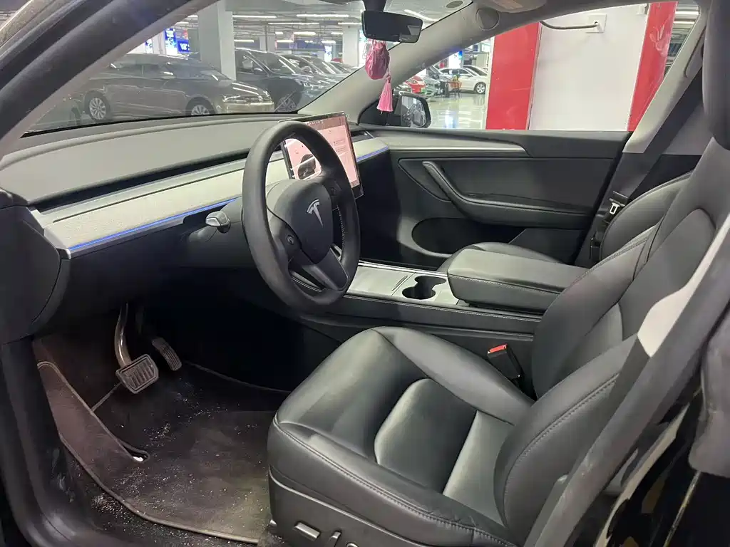 Tesla Model Y — миниатюра 4