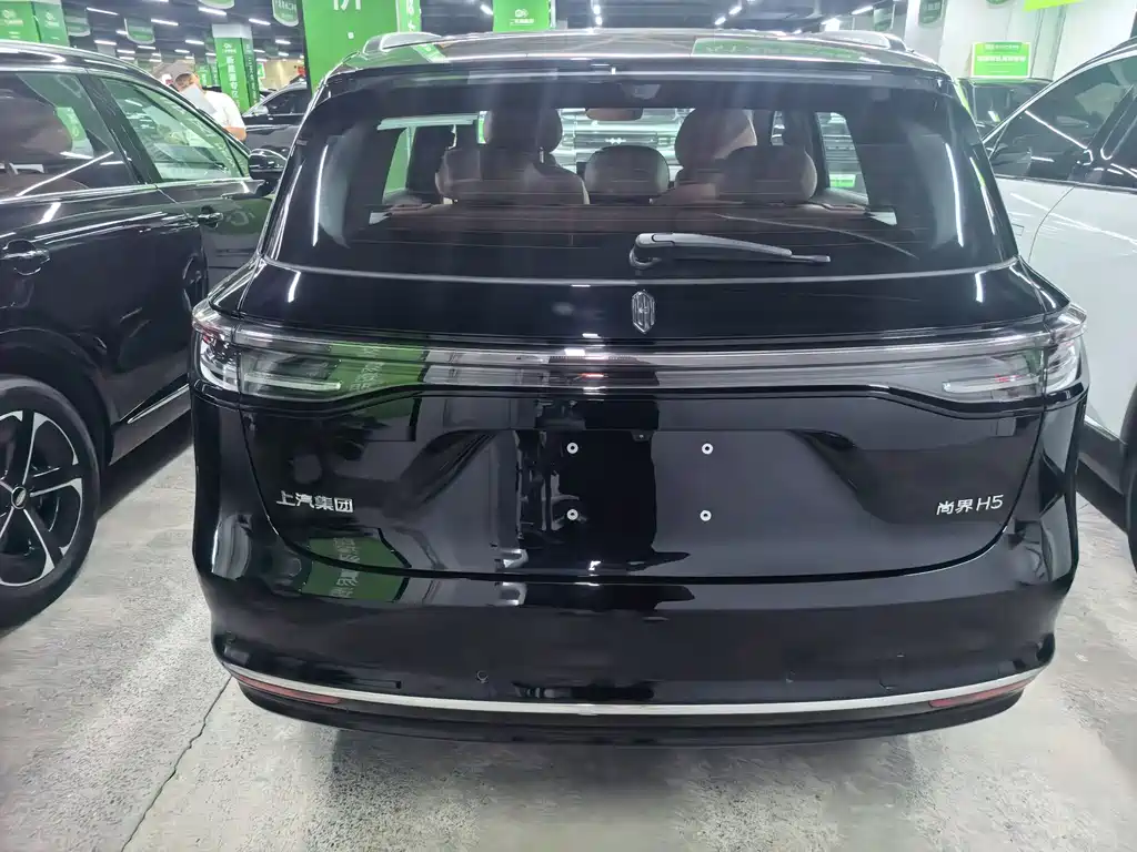 Shangjie Shangjie H5 — миниатюра 8