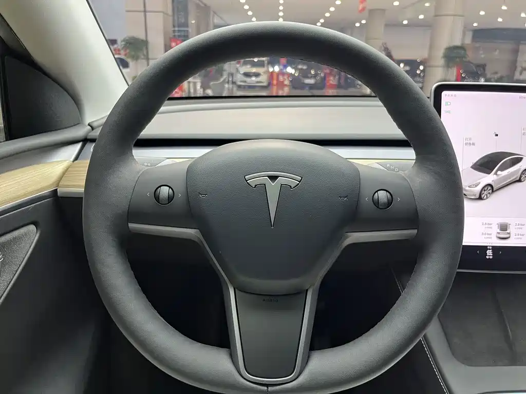 Tesla Model Y — миниатюра 20