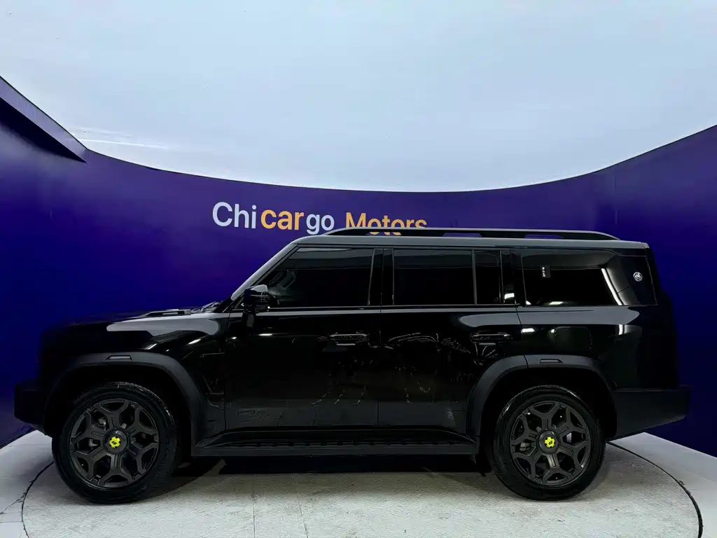 Shanhai Traveller C-DM — миниатюра 4