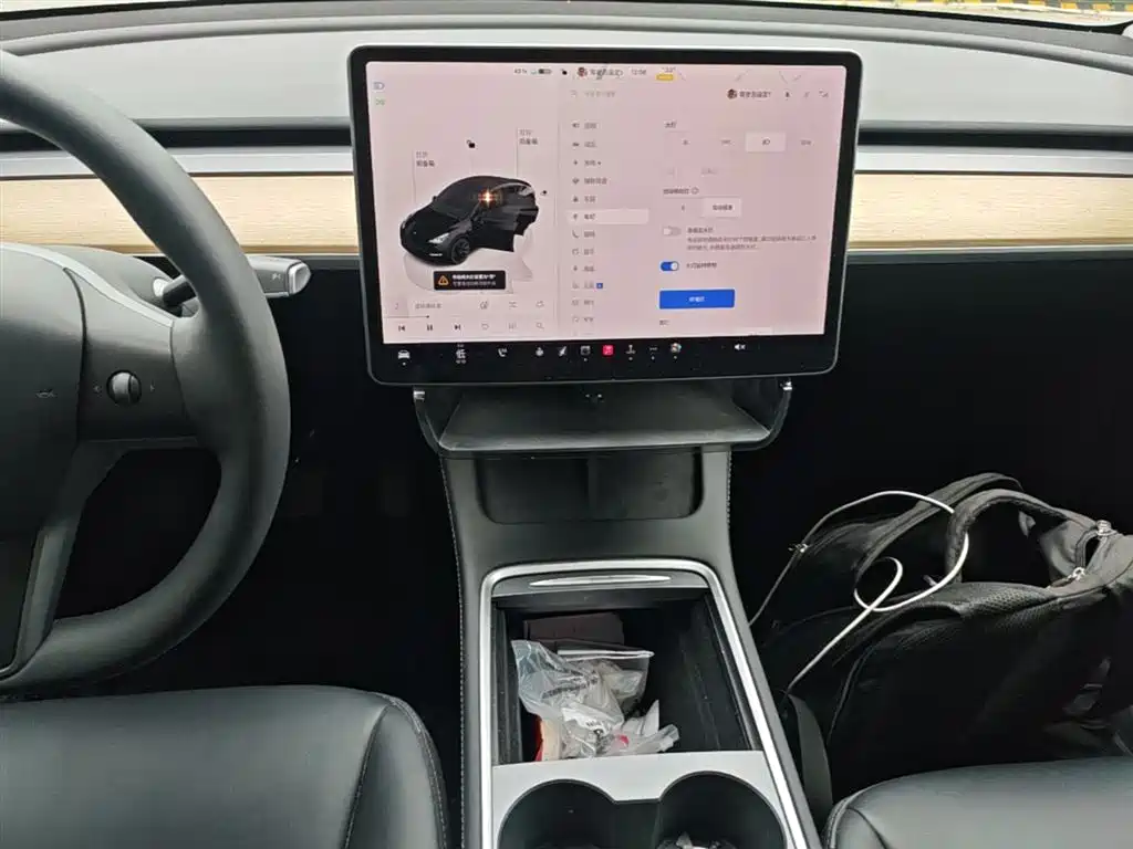 Tesla Model Y — фотографии объявления, Фото 14