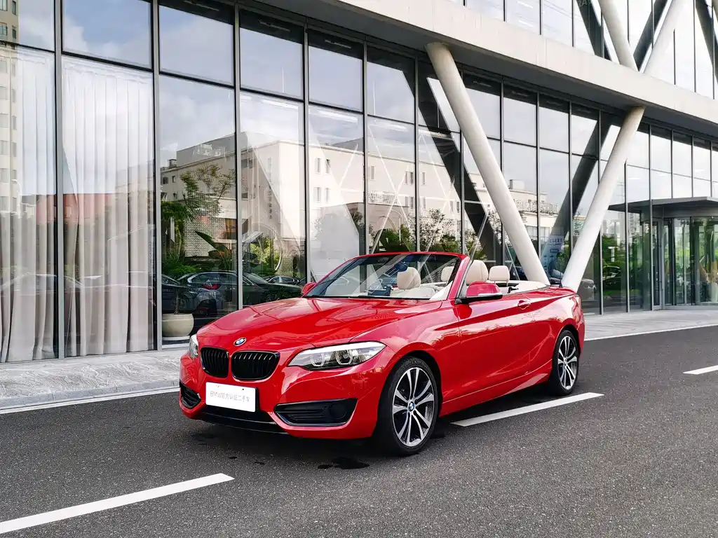 BMW 2 Series (Import)