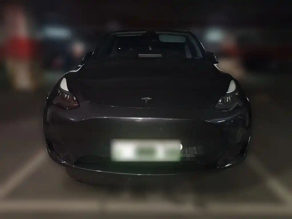 Tesla Model Y — миниатюра 24