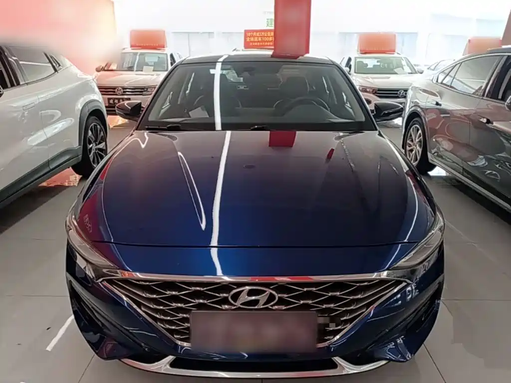 Hyundai Fista — миниатюра 3