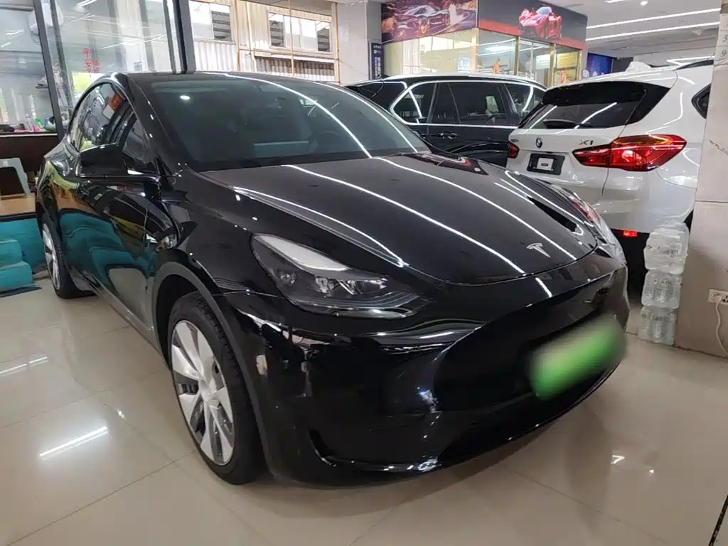 Tesla Model Y — миниатюра 4