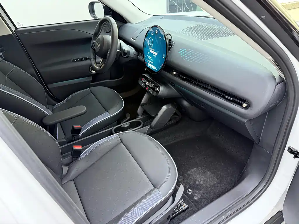 MINI MINI ACEMAN EV — миниатюра 15