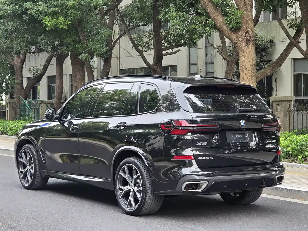 BMW X5 — миниатюра 12