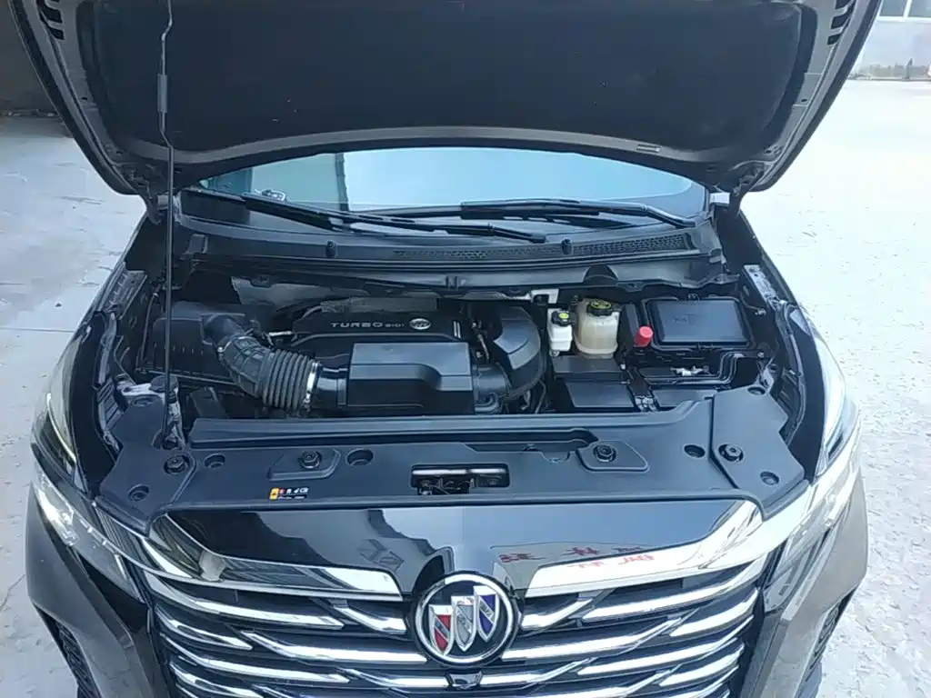 Buick GL8 — миниатюра 20