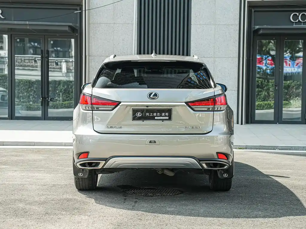 Lexus RX — миниатюра 6