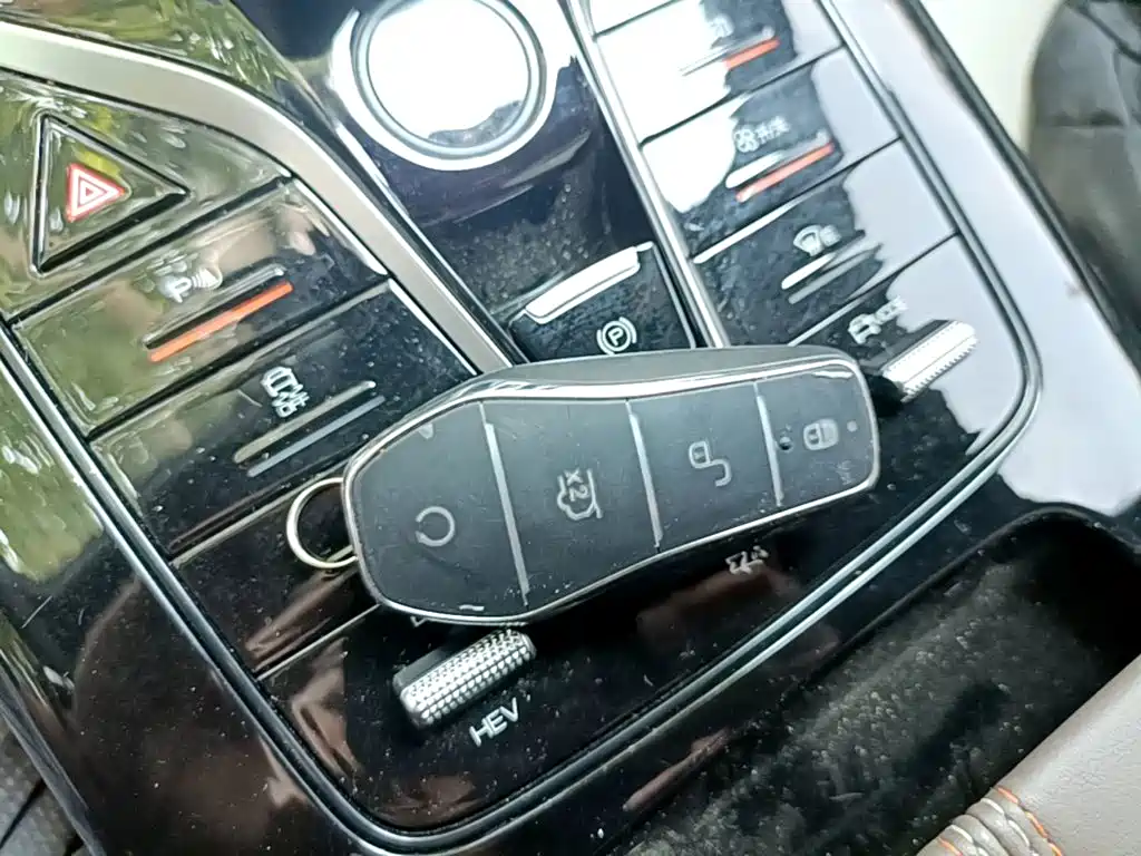 BYD Qin Plus PLUS 2024 DM-i 55KM Lead
