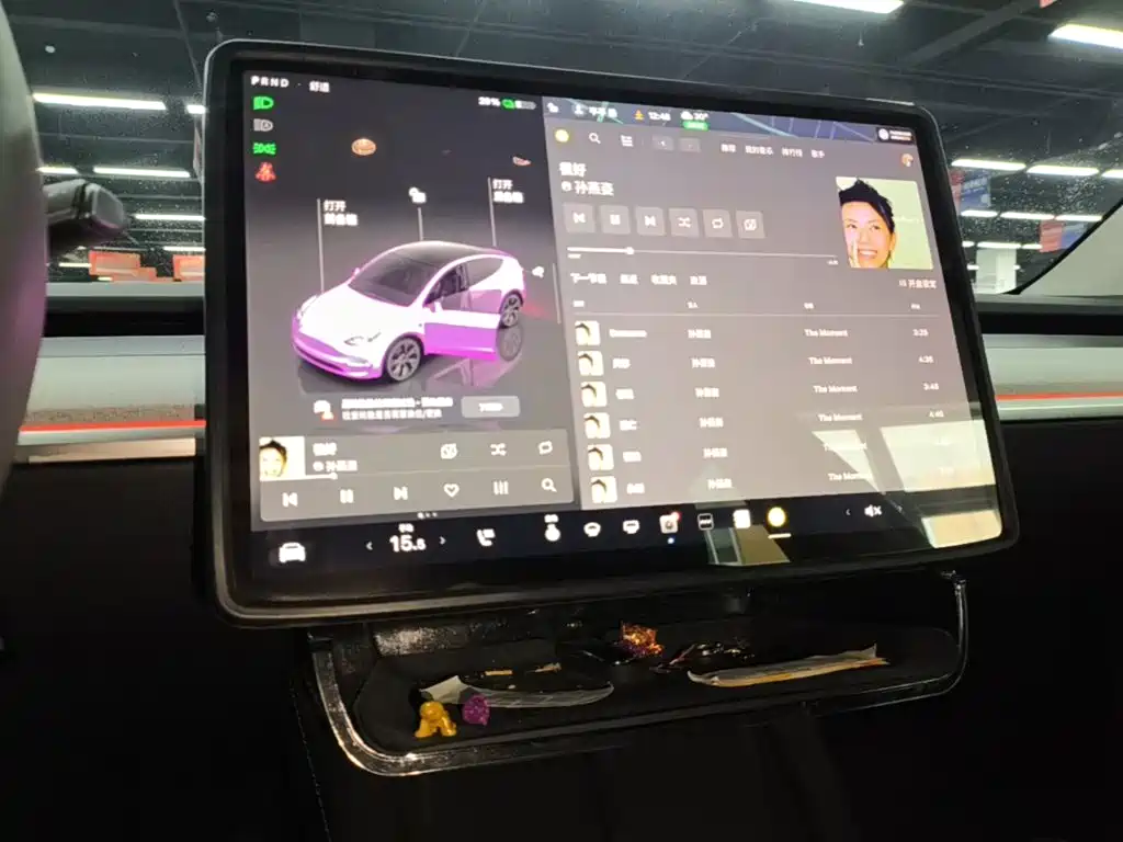 Tesla Model Y — миниатюра 13