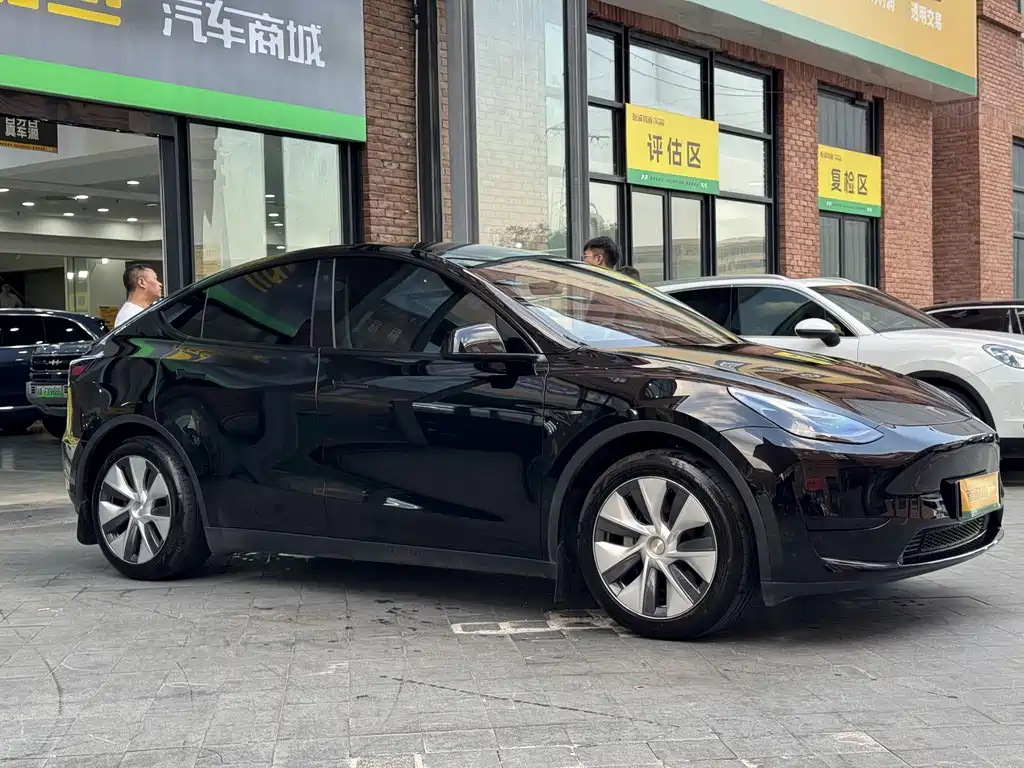 Tesla Model Y — миниатюра 3