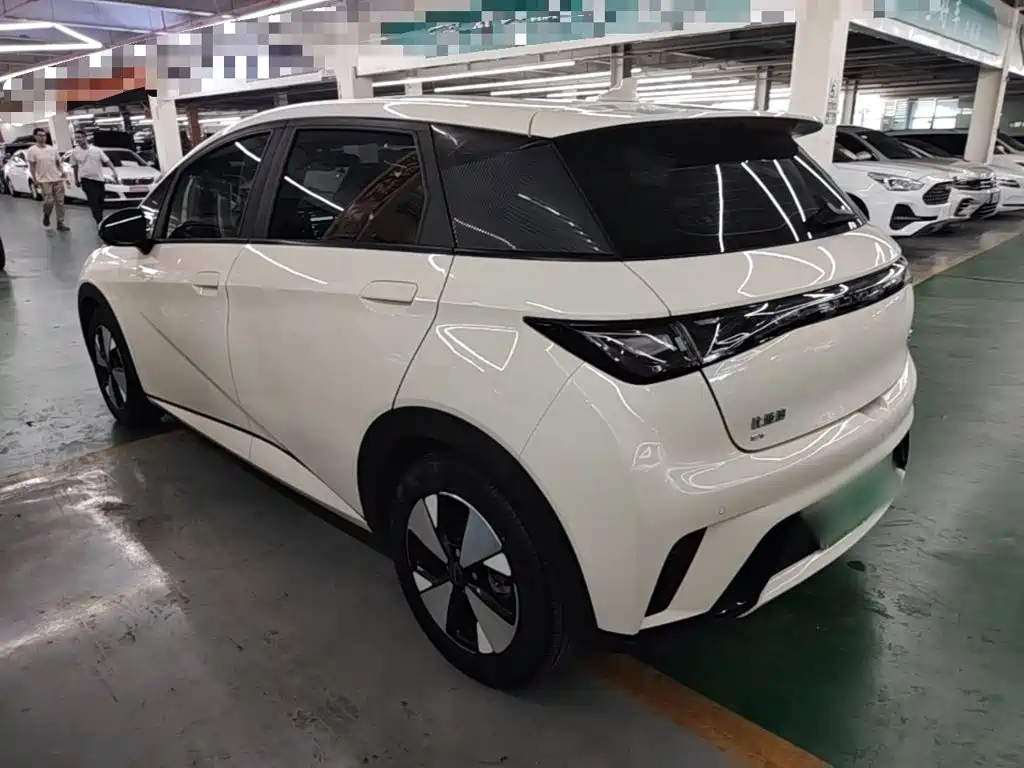 BYD Dolphin — миниатюра 5