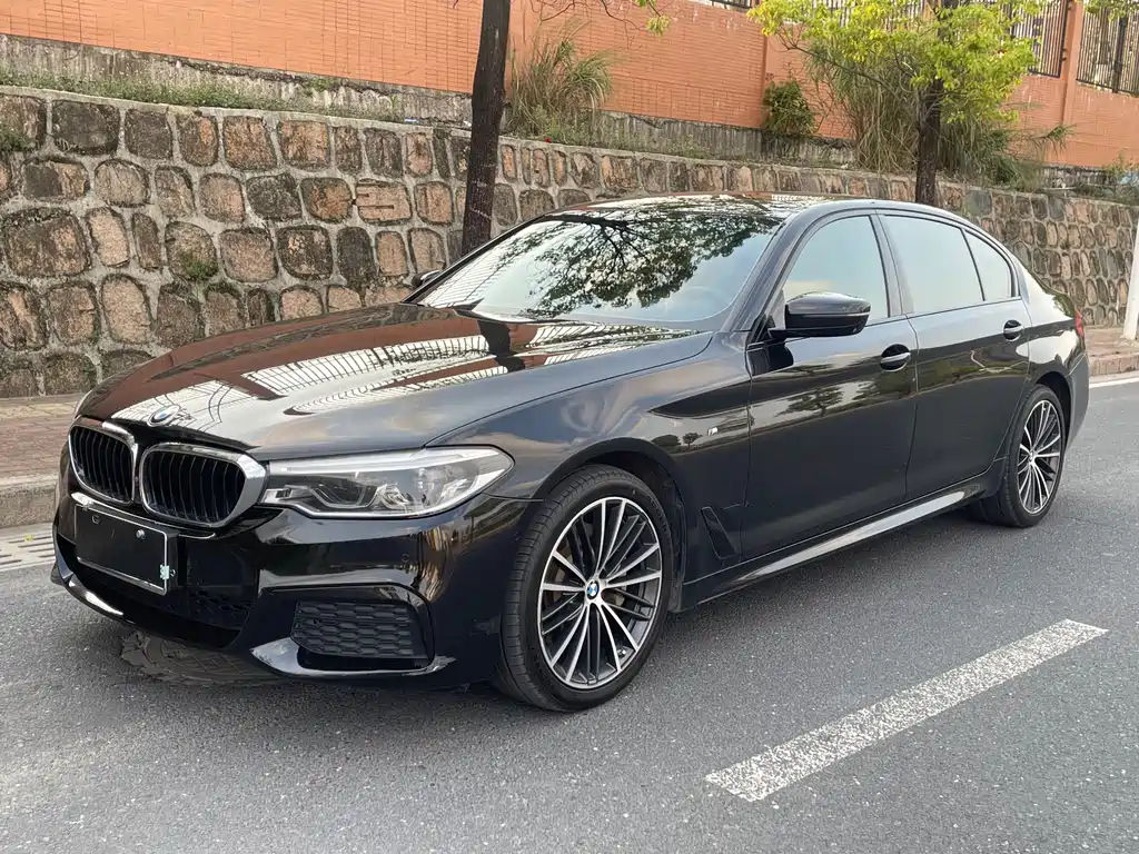 BMW 5 Series 2019