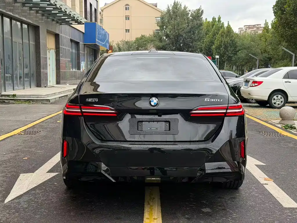 BMW 5 Series — миниатюра 5