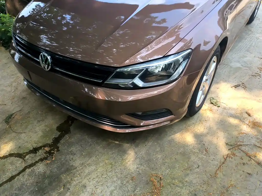 Volkswagen Lamando — миниатюра 24