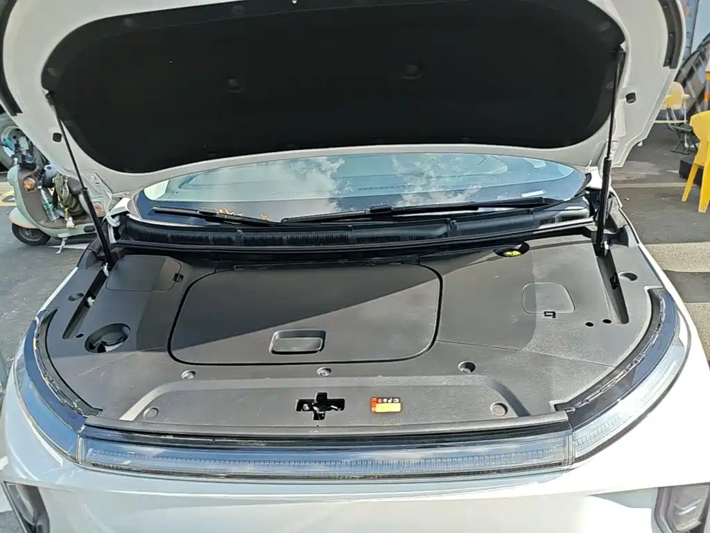 MAXUS Dajia 9 — миниатюра 20