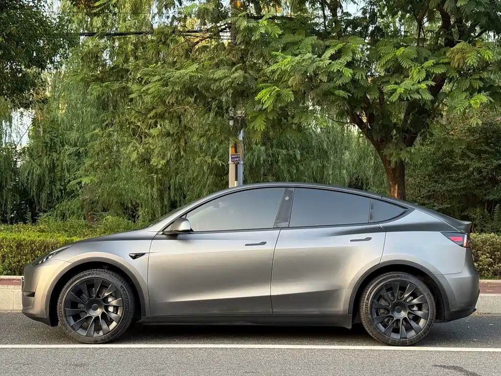 Tesla Model Y — миниатюра 2