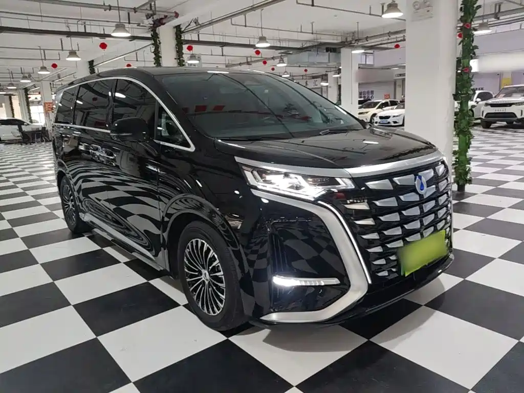 Denza Denza D9 — миниатюра 4