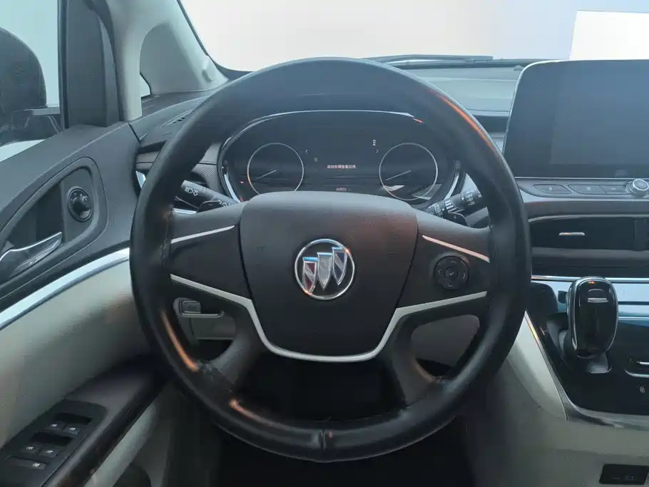 Buick GL8 — миниатюра 15