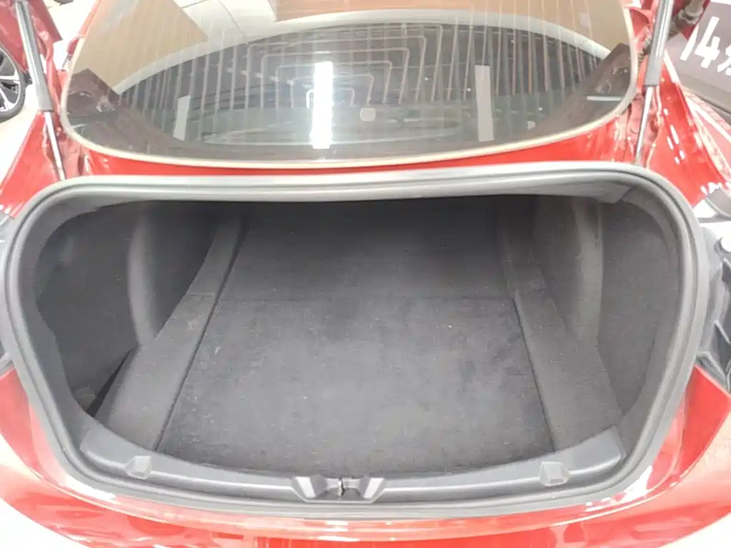 Tesla Model 3 — миниатюра 19