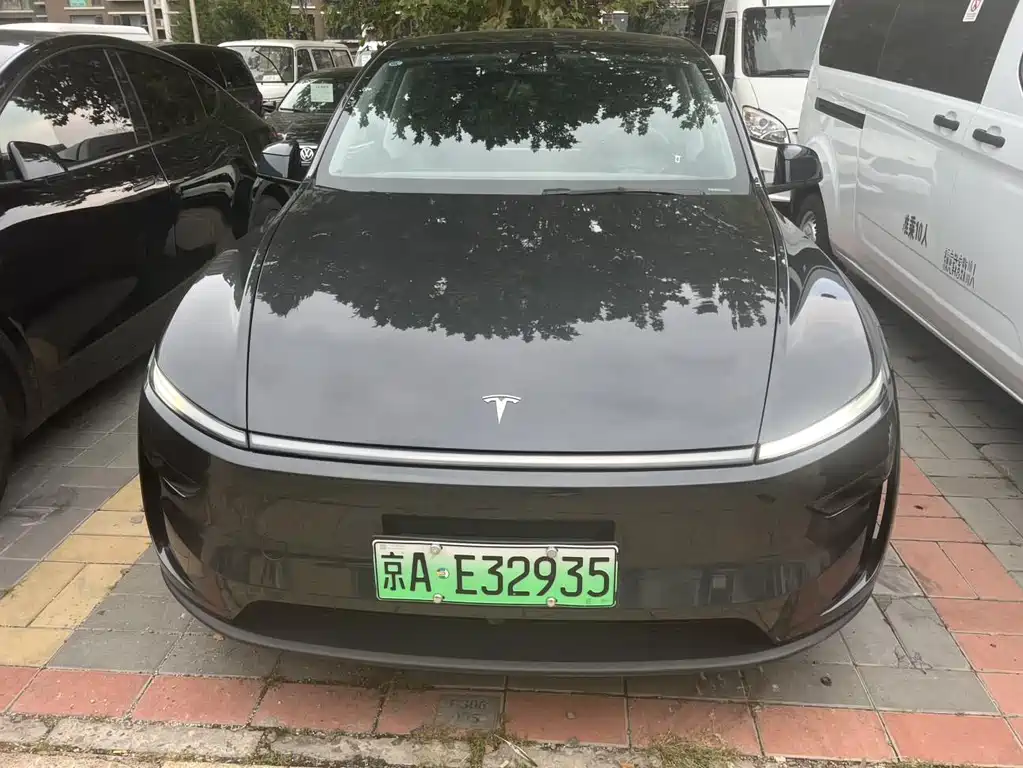 Tesla Model Y — миниатюра 2