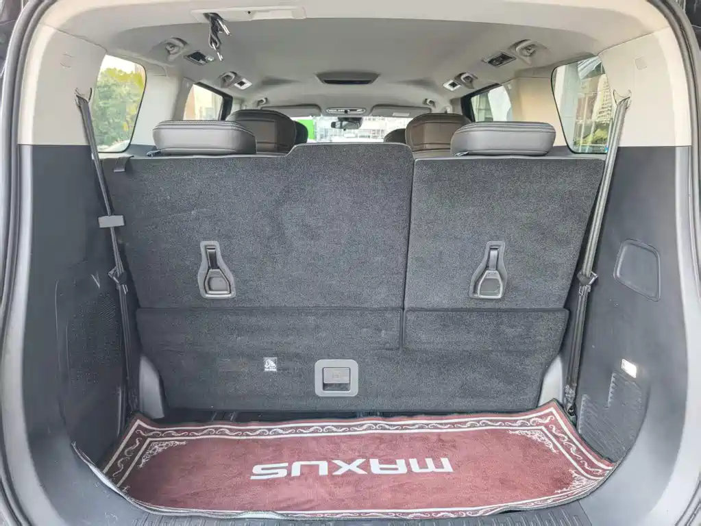 Maxus Dajia 9 — миниатюра 7