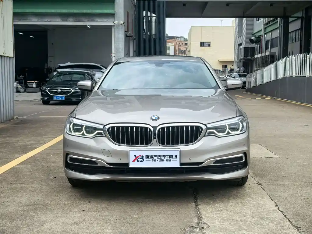 BMW 5 Series 5 2020 530Li Premium Luxury