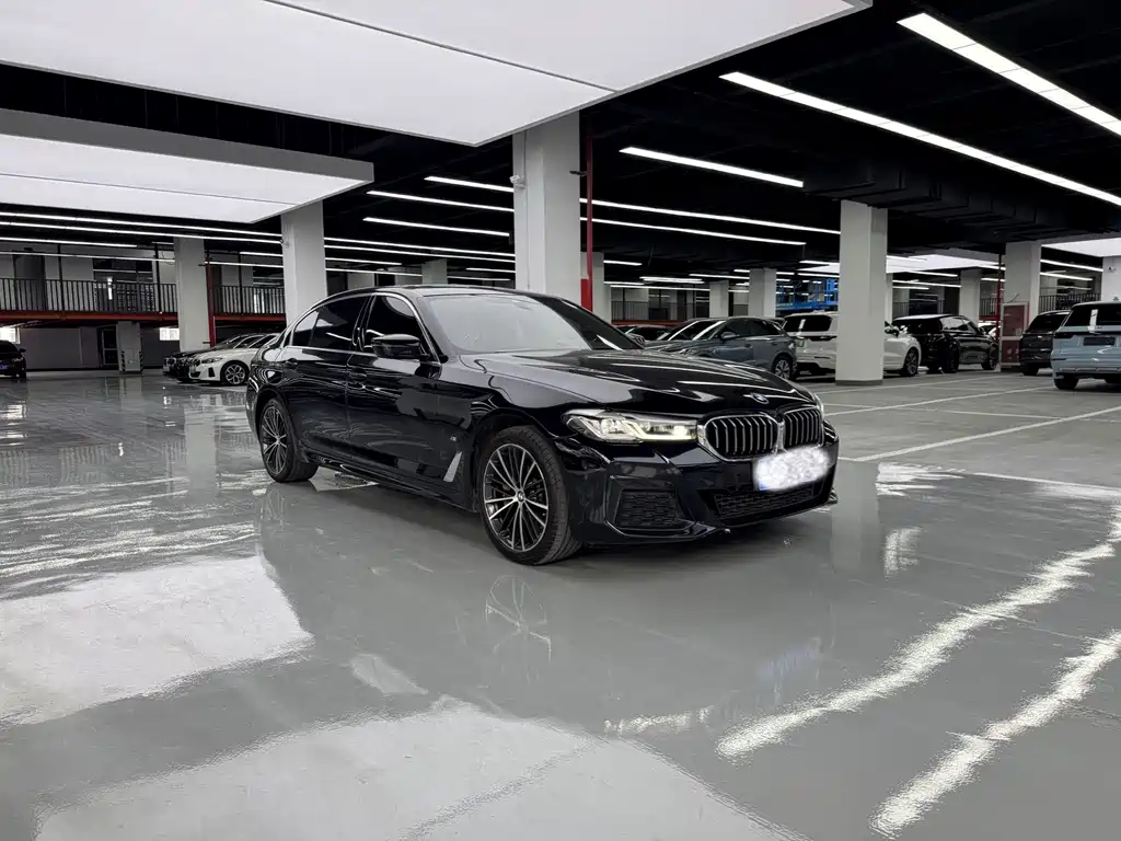 BMW 5 Series — миниатюра 3
