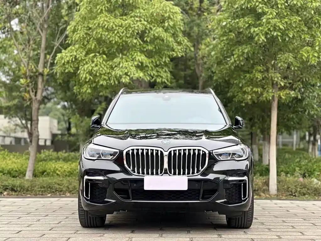 BMW X5 2022 xDrive 40Li M Sport