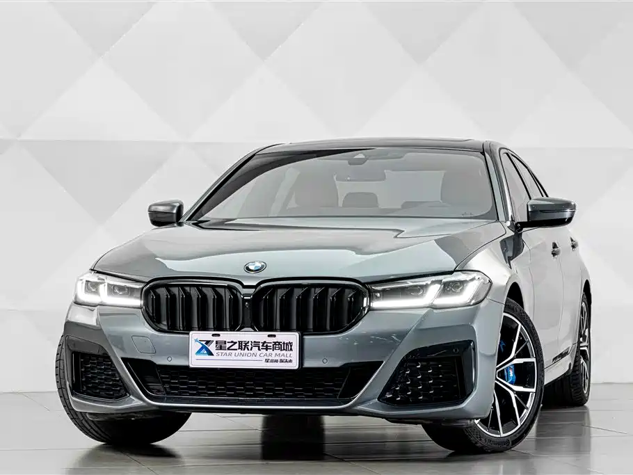 BMW 5 Series (Import) — миниатюра 2