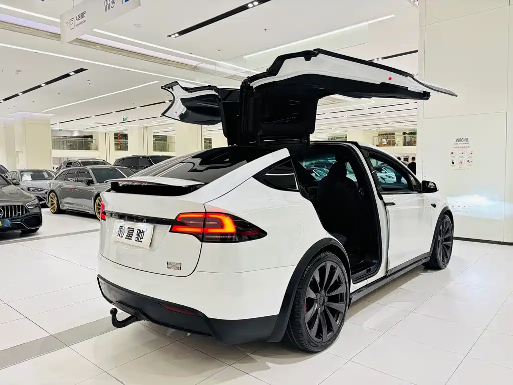 Tesla Model X — миниатюра 4
