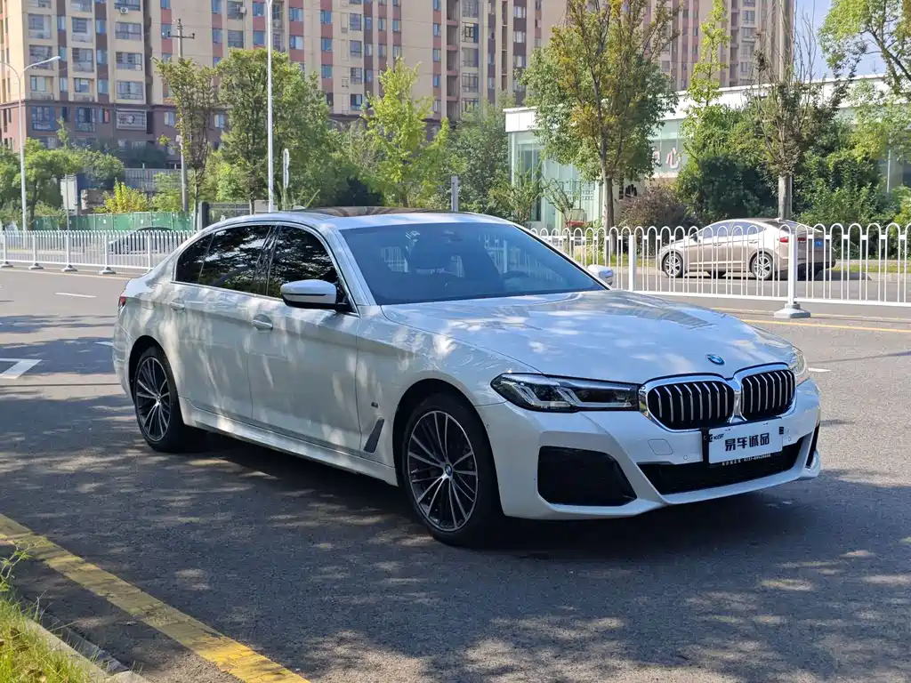 BMW 5 Series — миниатюра 3