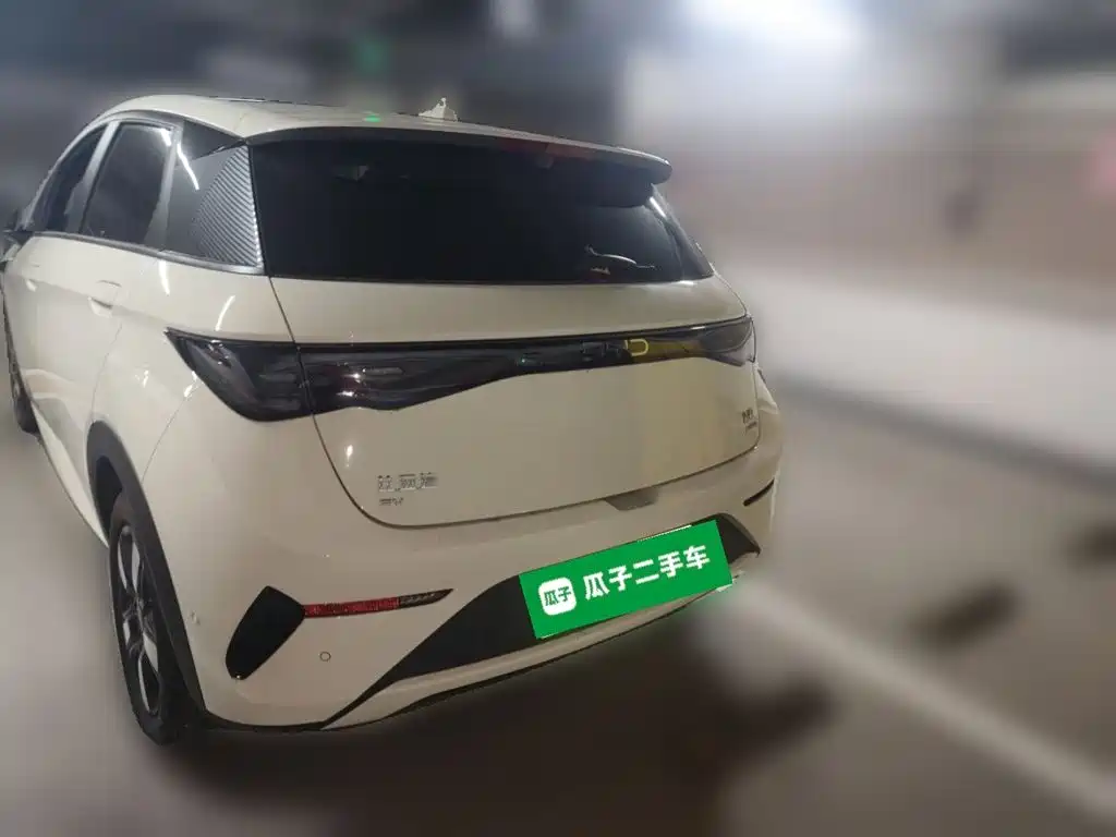 BYD Dolphin — миниатюра 3